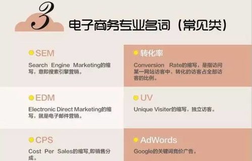 电子商务的专业怎么样