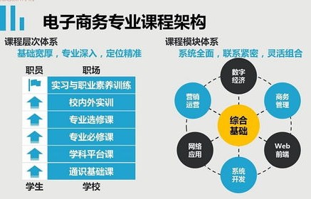 电子商务专业基本能力