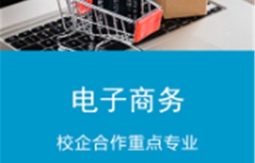 文科有电子商务专业吗