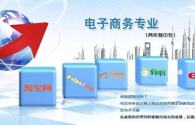 电子商务专业主要面向