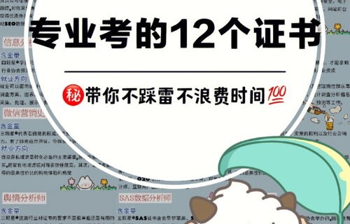 电子商务专业考什么编制