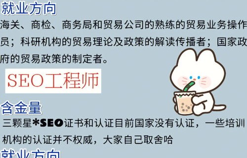 电子商务中级考啥专业的
