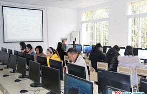 电子商务专业高考网课