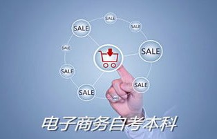 本科专业有电子商务吗