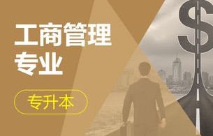 成人电子商务专业能干嘛