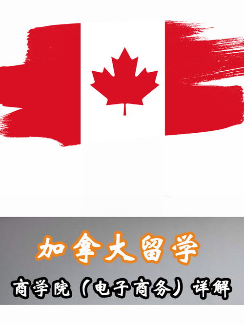 留学加拿大电子商务专业