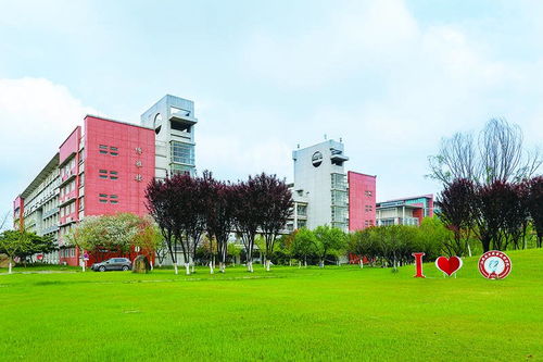 英德电子商务专业的大学