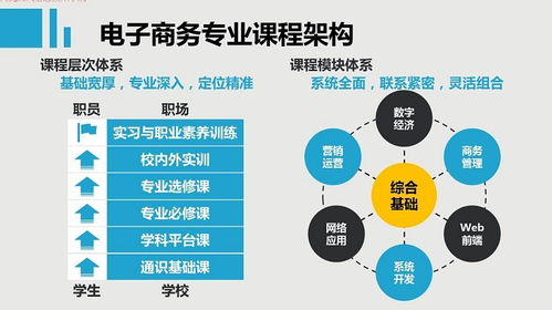 电子商务包括学哪些专业