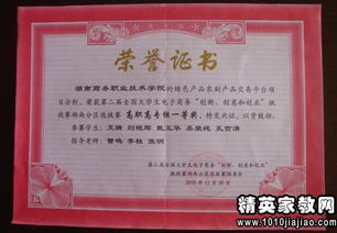电子商务专业的自我总结