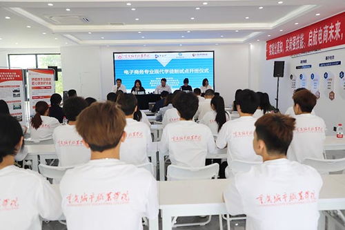电子商务专业去什么学校
