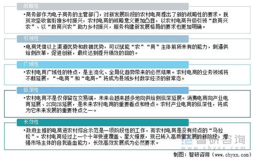 电子商务专业综合报告