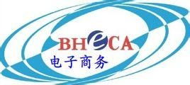 高中电子商务专业班旗
