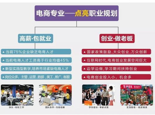 电子商务专业自主创业