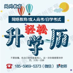 成考报电子商务专业怎样