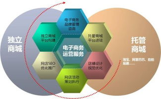 与电子商务同类型的专业